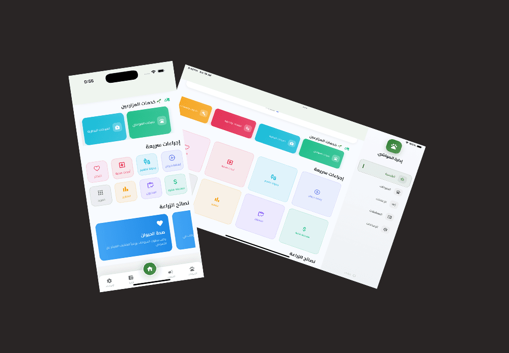 الشاشة الرئيسية