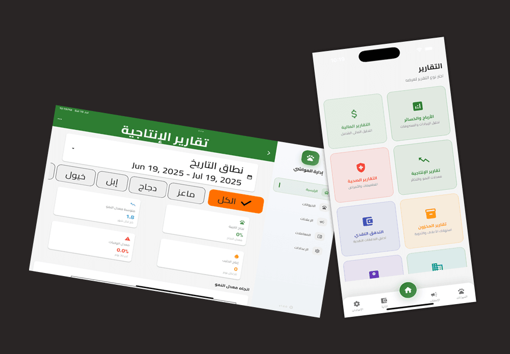 التقارير والإحصائيات